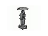 Pressure seal globe valve(900LB--2500LB）